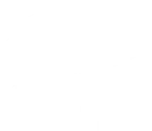 the residences mandarin logo